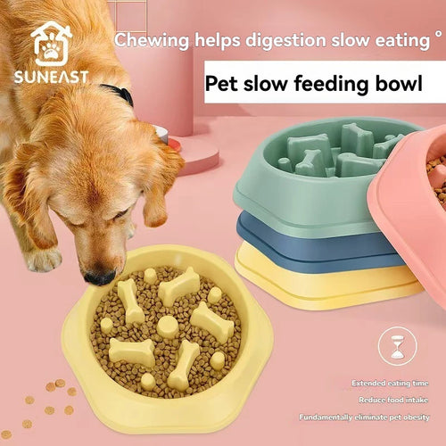Gamelle Anti-Glouton Pawfect™
